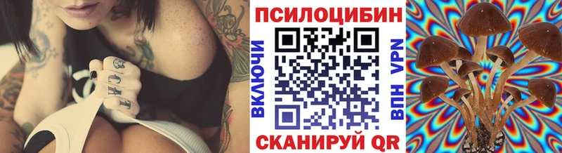 купить   Октябрьский  Галлюциногенные грибы мицелий 