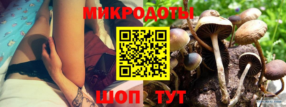 Псилоцибиновые грибы MAGIC MUSHROOMS  Вход с VPN  Октябрьский 