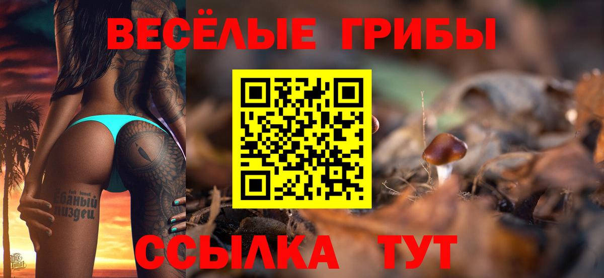 Псилоцибиновые грибы мицелий Октябрьский